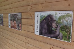Hodonínská zoo slaví výročí založení množstvím kulturních a zážitkových akcí