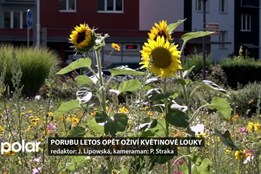 Porubu letos opět oživí květinové louky. V jednom záhonu je až 40 druhů rostlin