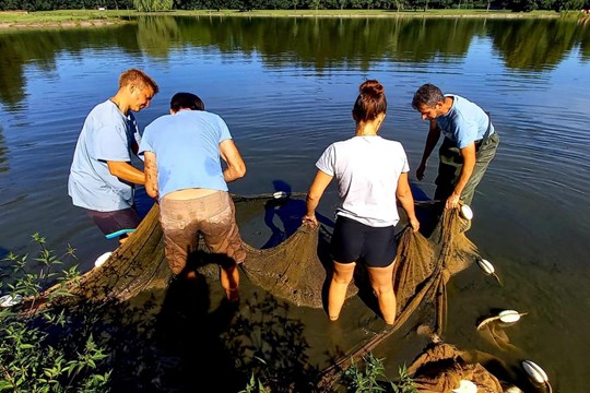 Vědecký průzkum nádrže Bagr v českobudějovickém lesoparku Stromovka